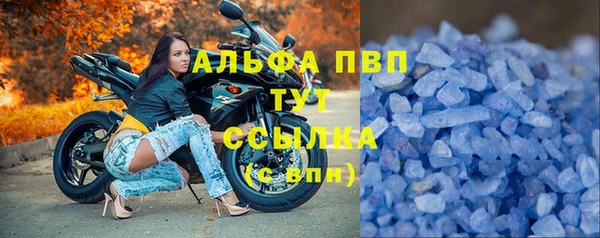 спиды Алзамай