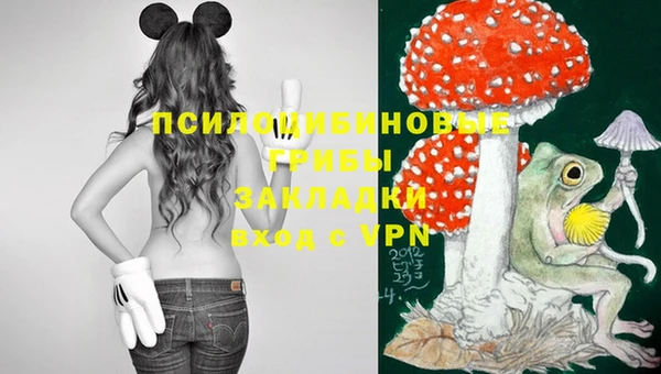 дмт Абаза