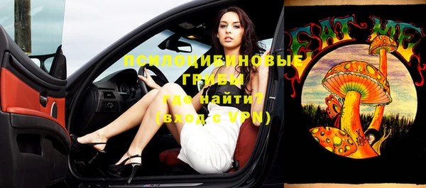 индика Алексеевка