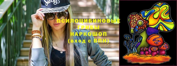 индика Алексеевка